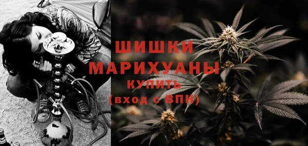 мдпв Богданович