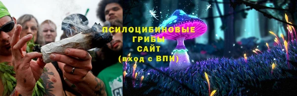 мдпв Богданович