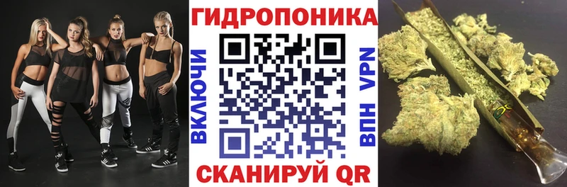 Каннабис Amnesia Дагестанские Огни